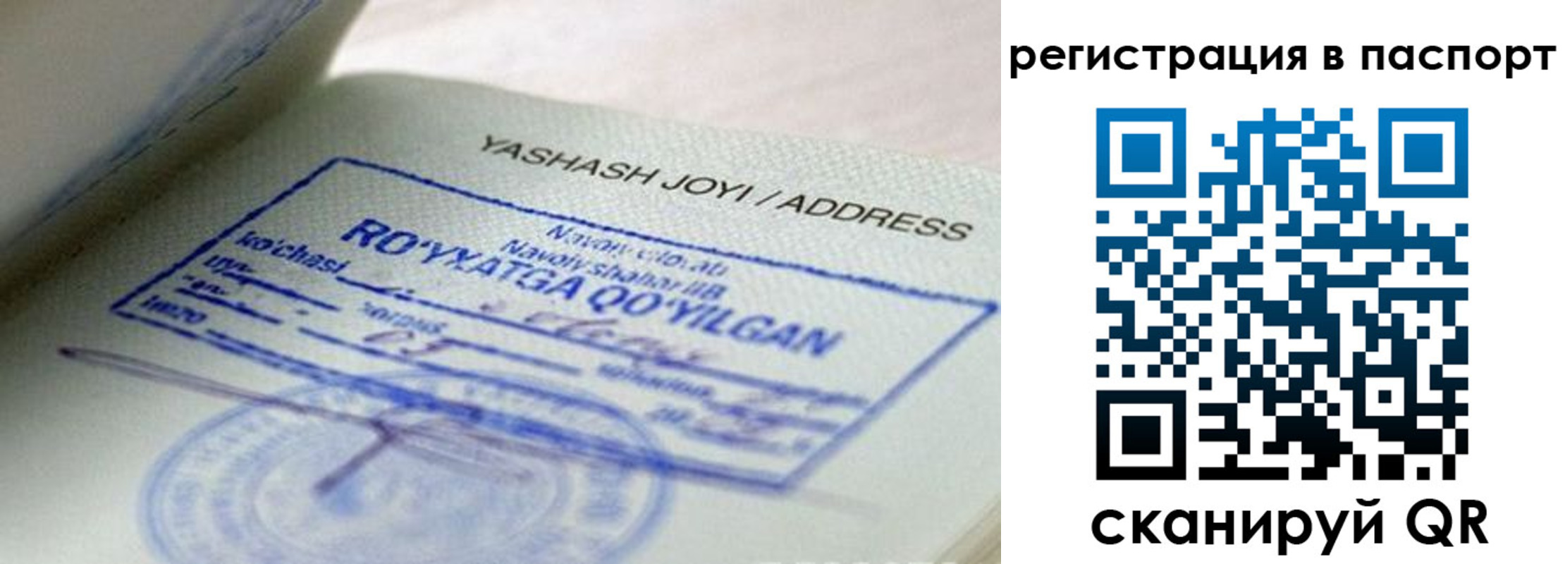 временная регистрация надежно в Зиме